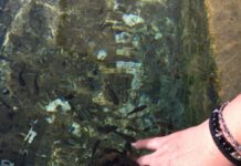 Direksiyonda Uyumak ve Tur Otobüsü Kazası